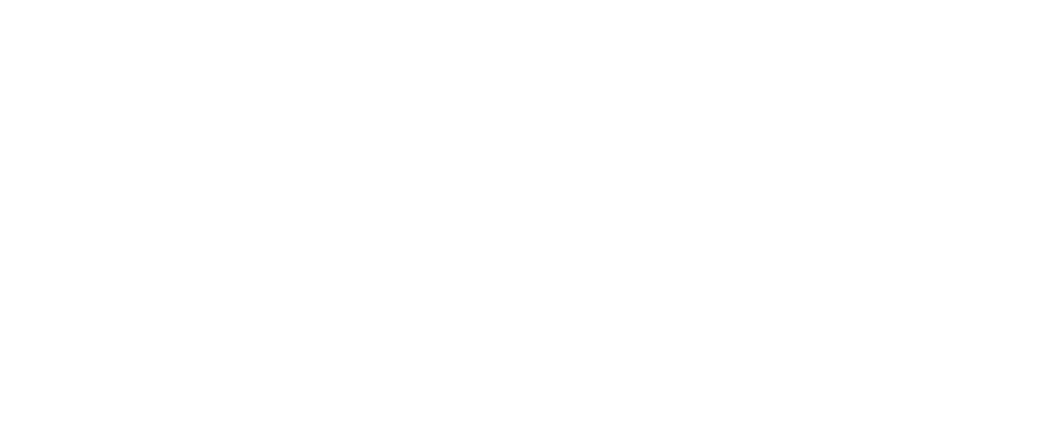 Phoenix Governance & Data Advisory